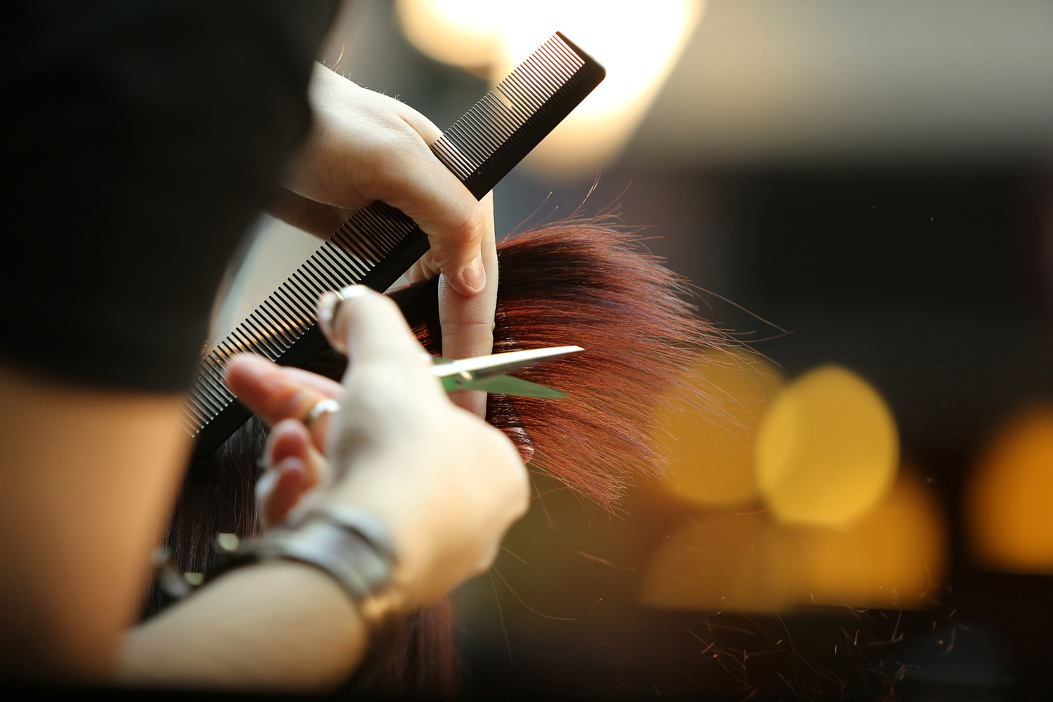 Georgia State Board of Cosmetology and Barbers Rules and Laws | Georgia  Secretary of State